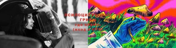 соль курить ск Алзамай