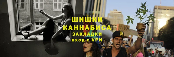 бошки Алексин