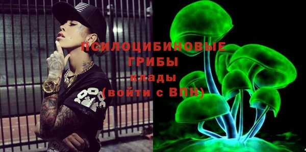 spice Осинники