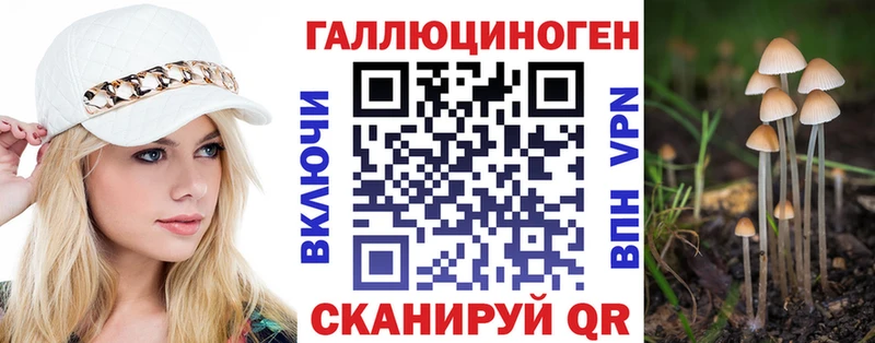 Галлюциногенные грибы Psilocybe  Лахденпохья 