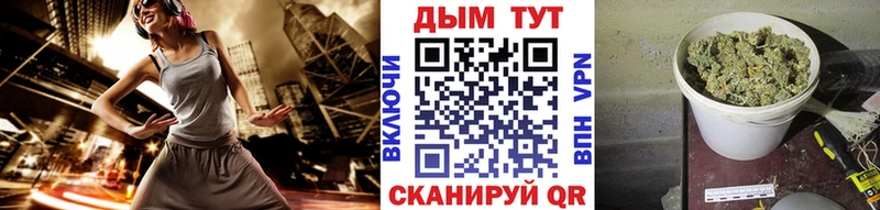 сколько стоит  Лахденпохья  Марихуана сатива 